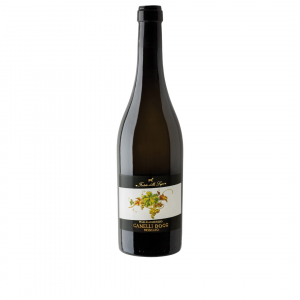 Forteto della Luja Canelli Moscato Piasa San Maurizio 2025 75 cl. 5,5 vol.