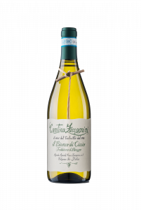 Zaccagnini Il Bianco di Ciccio Trebbiano D'Abruzzo 75 cl. 2025 12,5 Vol. Tralcetto